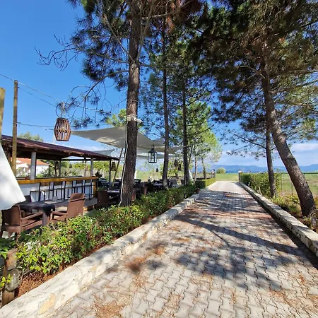 Alexandra 1 公寓 *