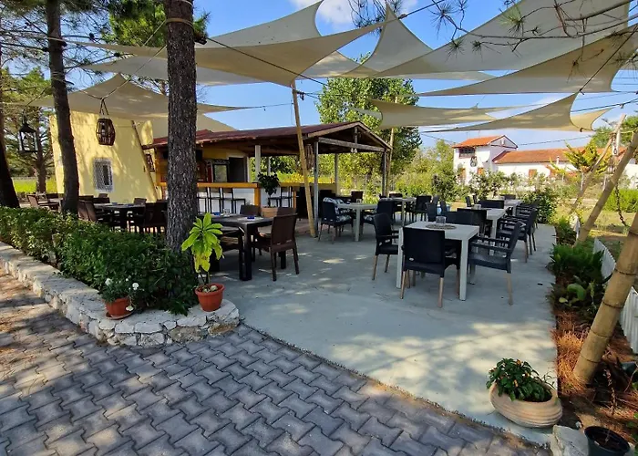 公寓 Alexandra 1 莱夫基米